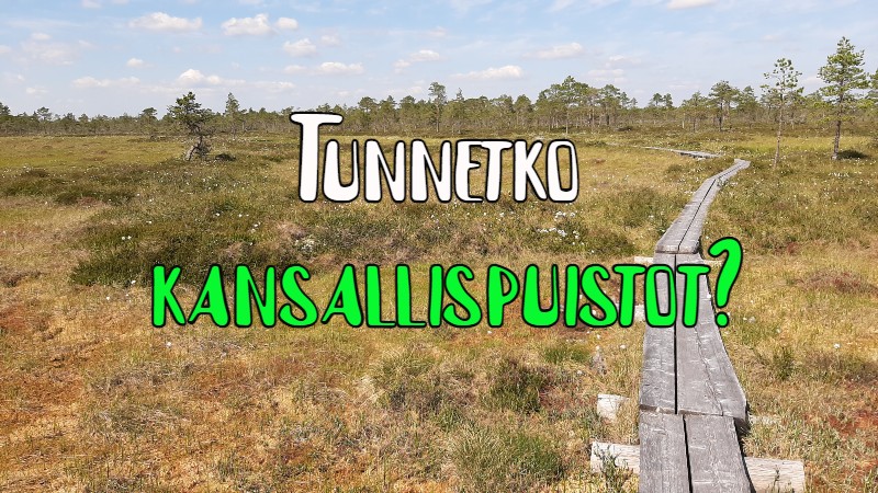 Tunnetko Suomen kansallispuistot? 10 kysymystä
